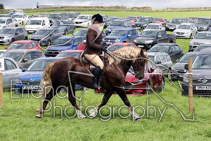 Carnwath2025Ring3364