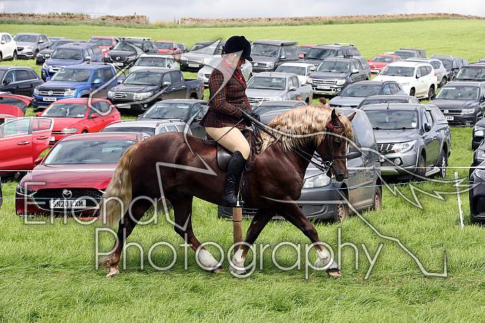 Carnwath2025Ring3365