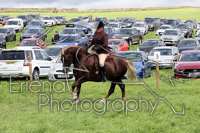 Carnwath2025Ring3379