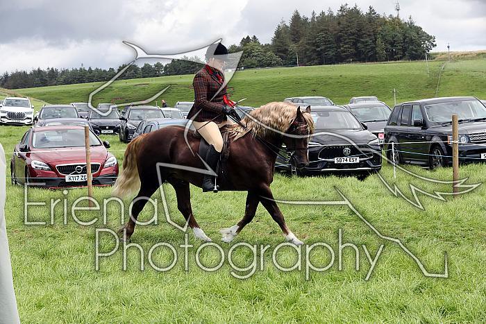 Carnwath2025Ring3390