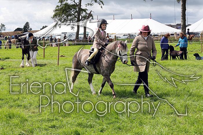 Carnwath2025Ring3396