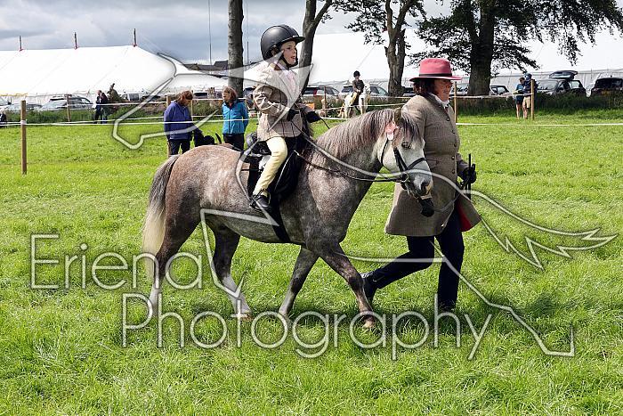 Carnwath2025Ring3398