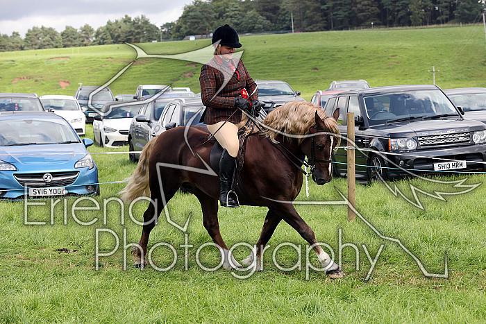 Carnwath2025Ring3419
