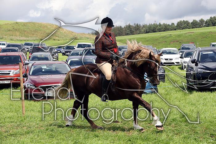 Carnwath2025Ring3424
