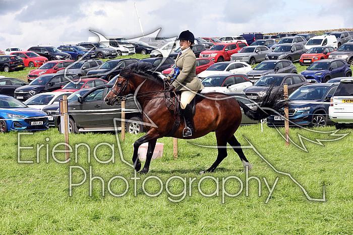Carnwath2025Ring3433