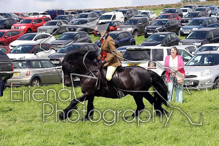 Carnwath2025Ring3434