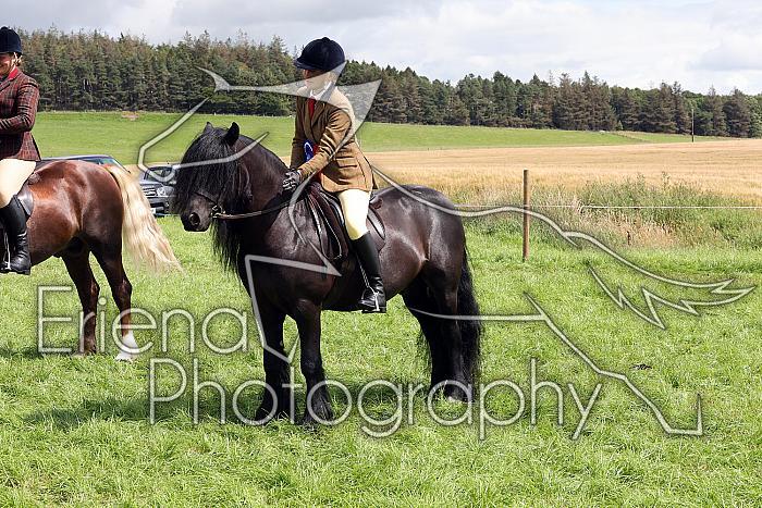 Carnwath2025Ring3456