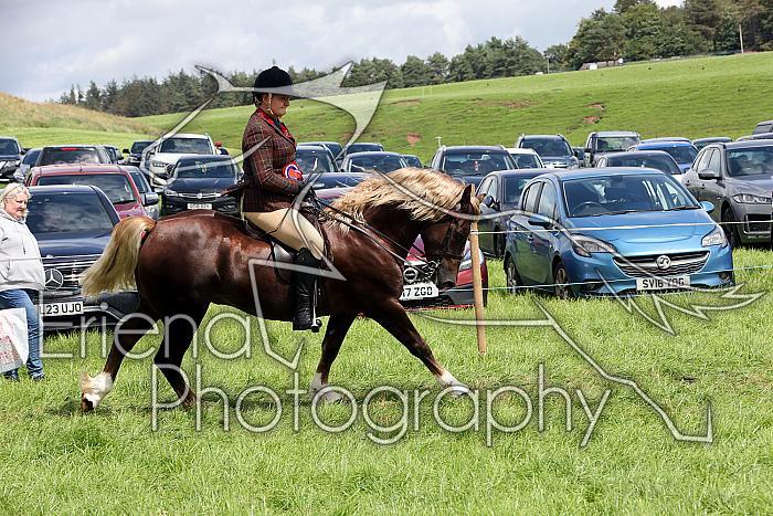Carnwath2025Ring3459