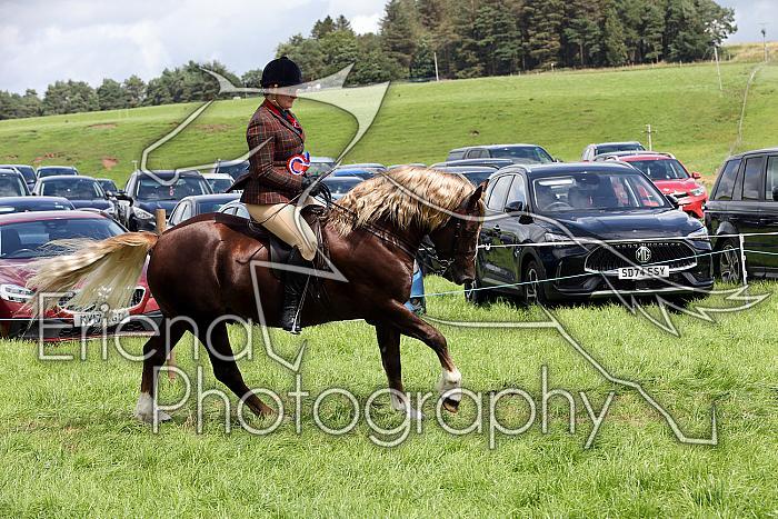 Carnwath2025Ring3460
