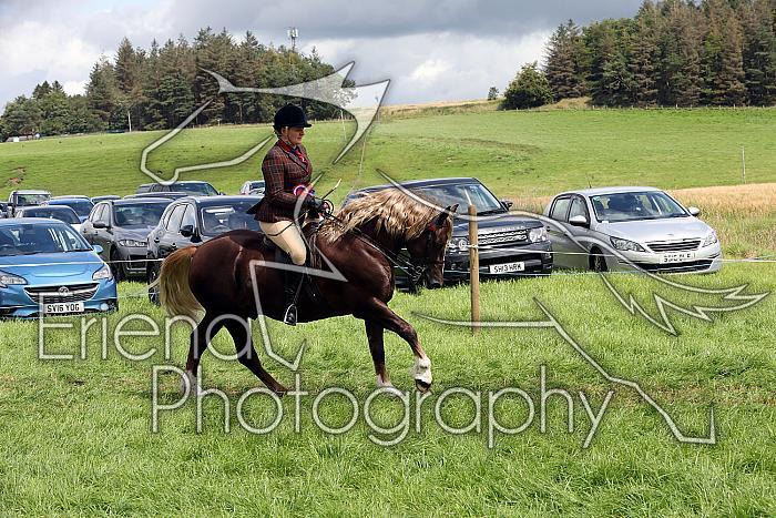 Carnwath2025Ring3461