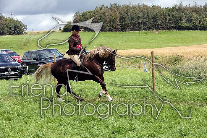 Carnwath2025Ring3462