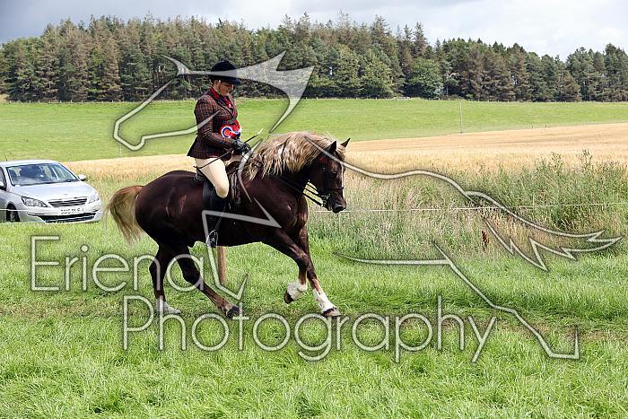 Carnwath2025Ring3463