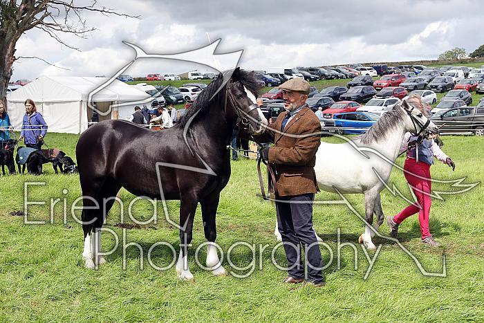 Carnwath2025Ring3467