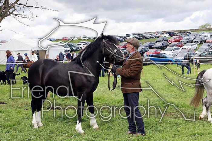 Carnwath2025Ring3468