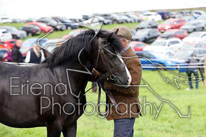 Carnwath2025Ring3469