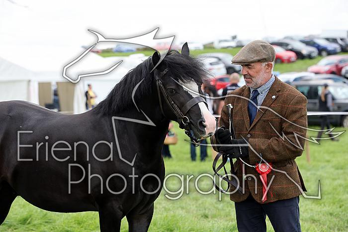 Carnwath2025Ring3474
