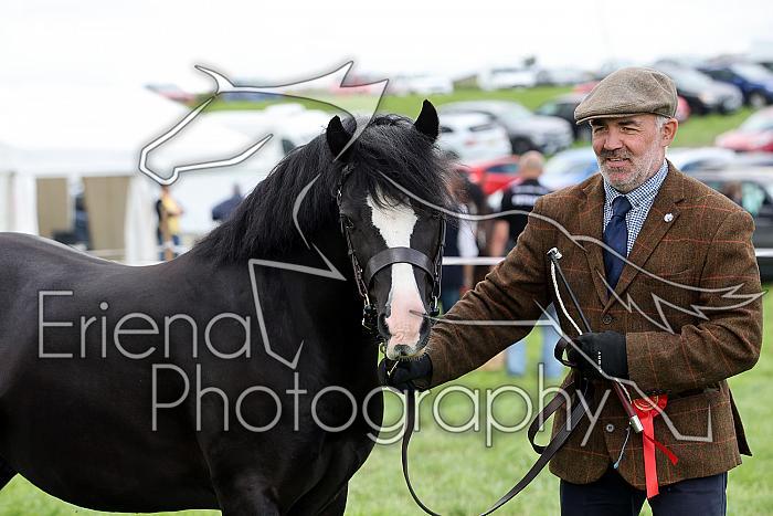 Carnwath2025Ring3475