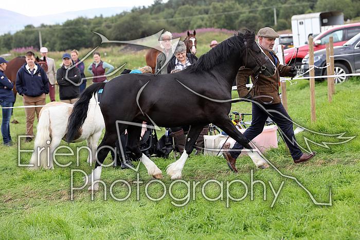 Carnwath2025Ring3478