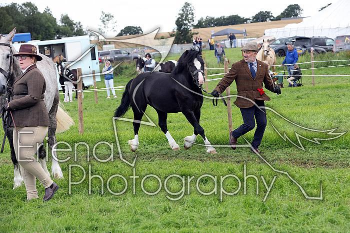 Carnwath2025Ring3479