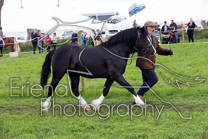 Carnwath2025Ring3481