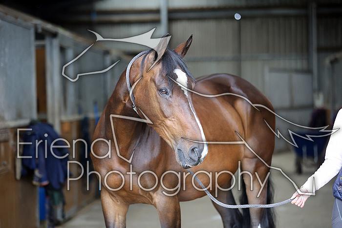 Donnelly1H5A5746001