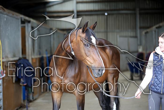 Donnelly1H5A5747002