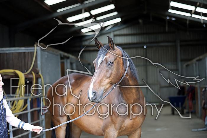 Donnelly1H5A5811008
