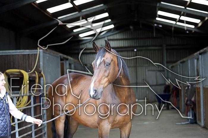 Donnelly1H5A5812009