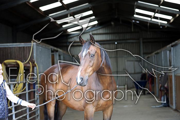 Donnelly1H5A5813010