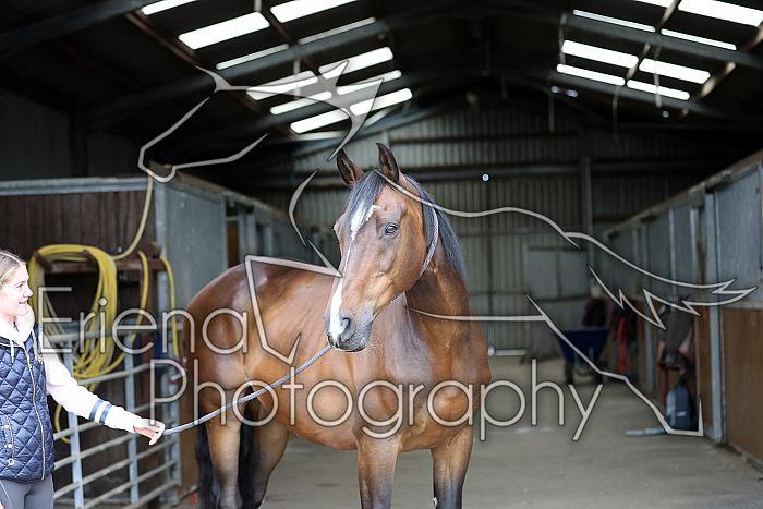 Donnelly1H5A5814011