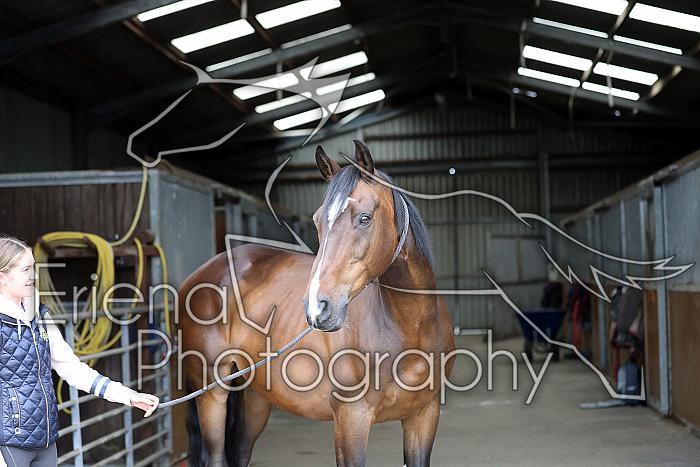 Donnelly1H5A5815012