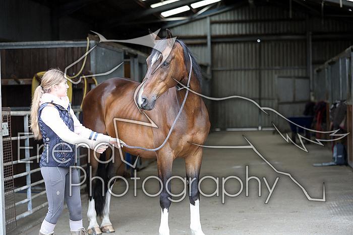 Donnelly1H5A5824013