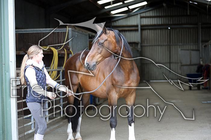 Donnelly1H5A5826015