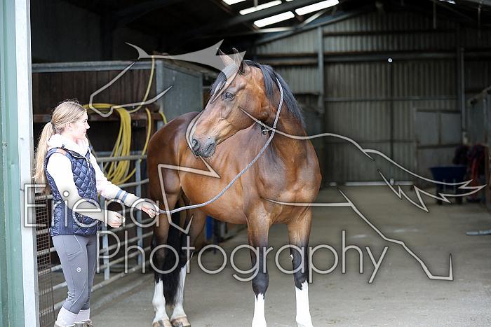 Donnelly1H5A5827016