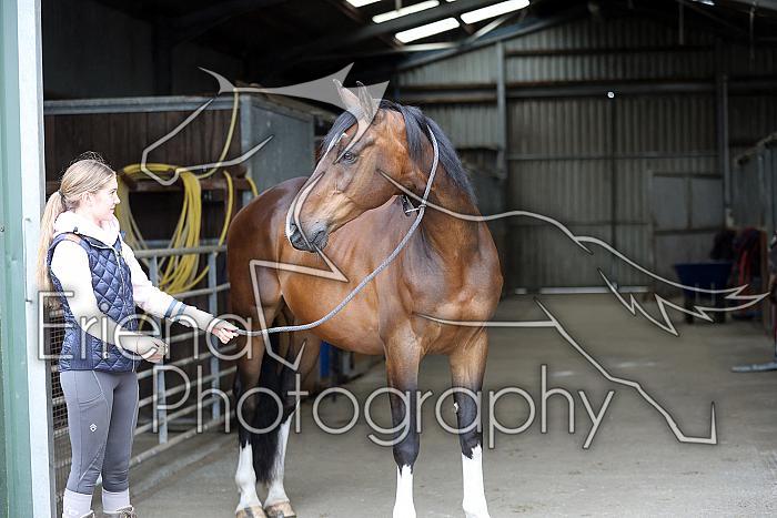 Donnelly1H5A5828017