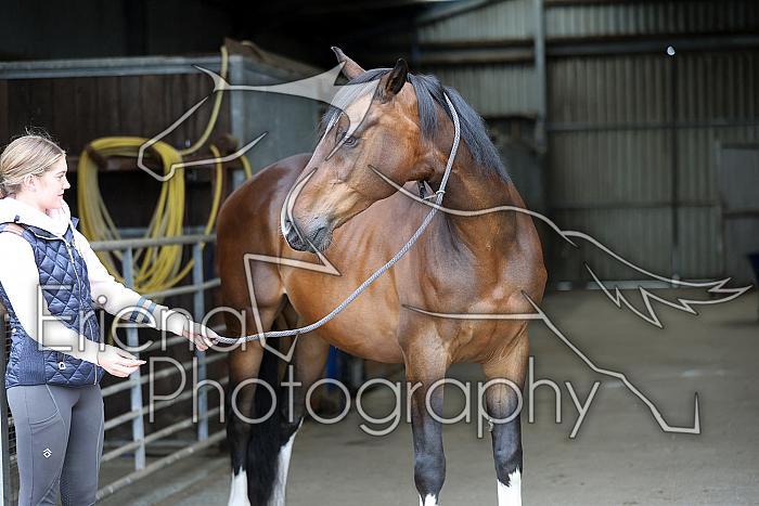 Donnelly1H5A5830019