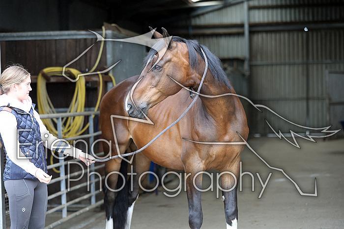 Donnelly1H5A5831020