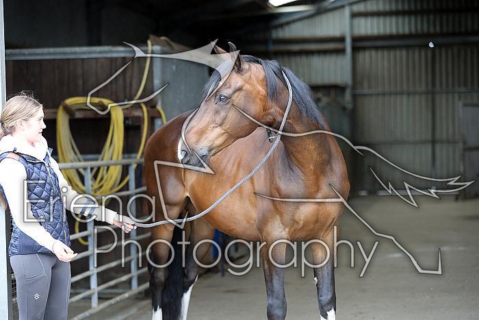 Donnelly1H5A5832021