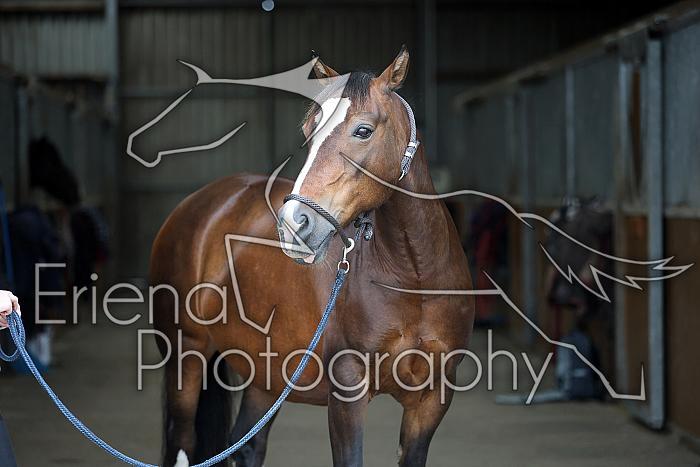 Donnelly1H5A5901025