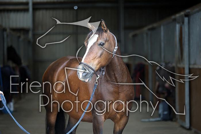 Donnelly1H5A5903027