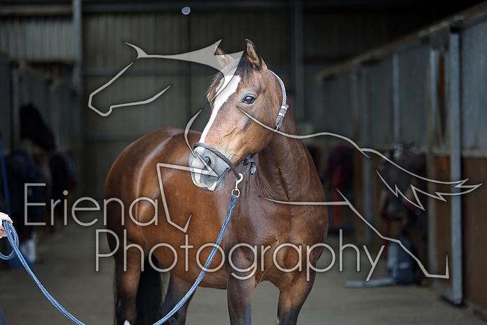 Donnelly1H5A5904028