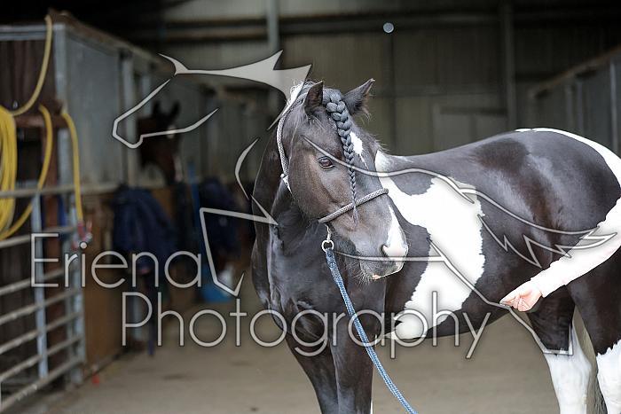Donnelly1H5A5919032
