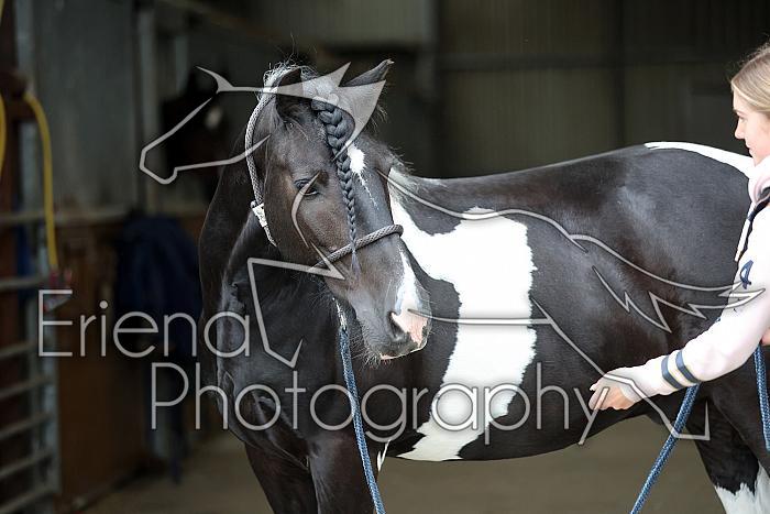 Donnelly1H5A5926034