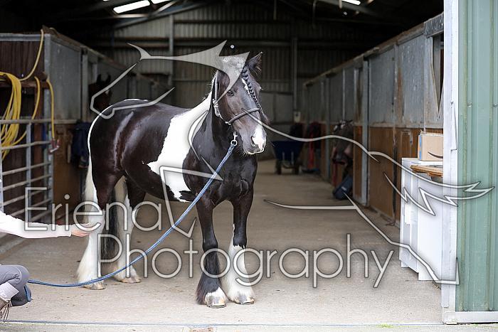 Donnelly1H5A5946045