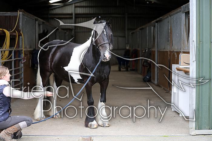 Donnelly1H5A5947046