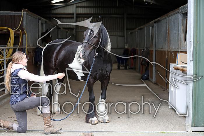 Donnelly1H5A5948047