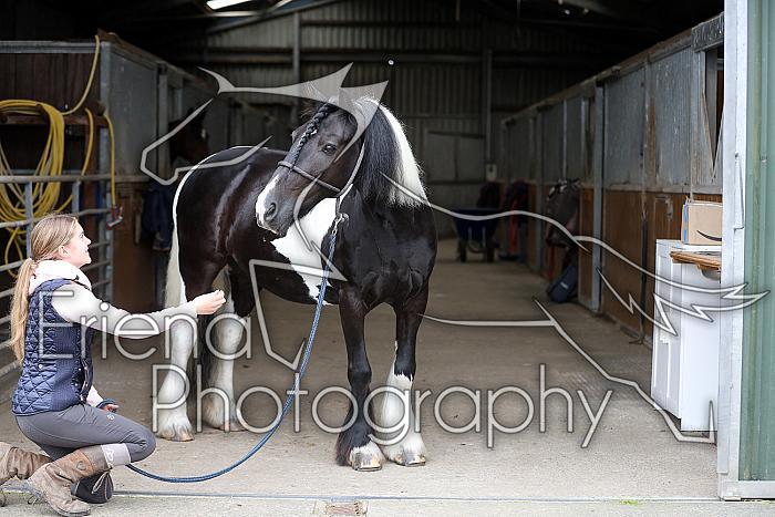 Donnelly1H5A5949048