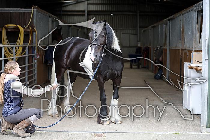 Donnelly1H5A5950049