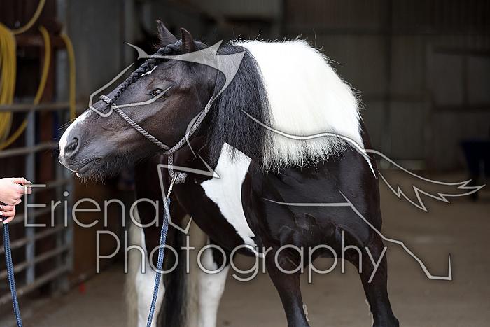 Donnelly1H5A5952051