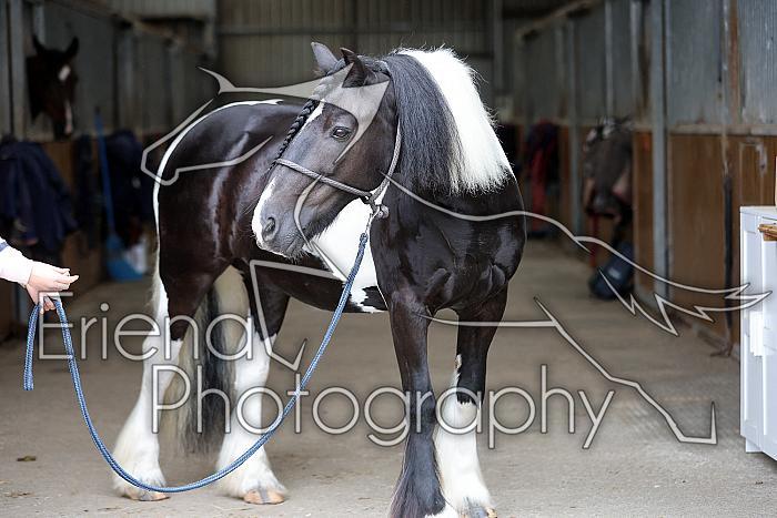 Donnelly1H5A5955054
